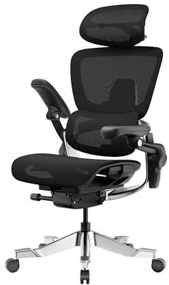 HINOMI H2 Pro Premium Ergonomic Office Chair - Comfy Home Office Desk Computer Chair with Adjustable Back Support, Swivel Wheels, Flip-up Arms, Ultra Soft Mesh Seat for Desk Work
