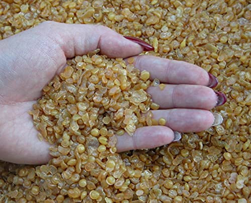 Holzleim Bindan Knochenleim Glutinleim 100 g biologisch, zu 100% abbaubar ohne Konservierungsmittel inkl. Leimpsachtel und Pinsel von E-Com24 (Knochenleim 100 gr)