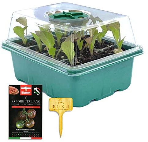 Bandejas de Semilleros de germinacion Invernadero y 1 Bolsa de Semillas de Regalo - Completo con 1 Bandeja 1 semillero de 12 Celdas 1 Tapa propagador Trasparente y una Bolsas de Semillas