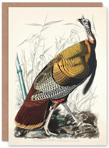 Artery8 John James Audubon Art Card Birds of America Wild Turkey