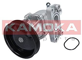 Kamoka T0276 - Pompe à eau