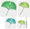 MAYJOYDIY Ginkgo-Blatt-Schablonen in verschiedenen Größen, wiederverwendbar, Blattmuster, Zeichenvorlage, Kunststoff, Ginkgoblätter, Zeichnen, Malschablonen für Wandkunst, Heimdekoration, 4 Stück