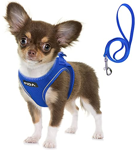Fida Step-in Flex Hundegeschirr mit Hundeleine, weiche Welpenweste – Allwetter-Mesh-Einstellbares Geschirr für kleine Hunde oder Katzen (XS, Flussblau)