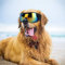 Zerodis UV-Schutzbrille Sonnenbrille für mittelgroße und große Hunde Augen Zubehör (blau)