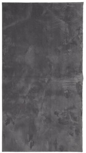 vidaXL Teppich, Wohnzimmerteppich Kurzflor Weich Waschbar, Moderner Teppich für Wohnzimmer Schlafzimmer, Flauschig Einfarbig rutschfest, Anthrazit 60x110cm