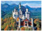 DCIDBEI 5D Diamond Painting Schloss Neuschwanstein 50x40cm Diamant Painting Bilder Schloss Neuschwanstein Stickerei Kreuzstich Malen anch Zahlen Landschaft Diamond Painting Landschaften und Natur
