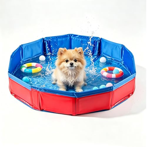 yotutun Piscina Plegable para Perros, Mascota Piscina Portátil Piscina Plegable para Perros Pequeños Antideslizante Bañeras para Perro Gatos, 50 x 10 cm