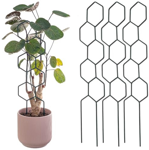 KADAX Rankhilfe aus Metall, 3 Stück, Rankgitter für Zimmerpflanzen und Topfpflanzen, Pflanzenstütze, Kletterhilfe für Pflanzen, Blumenstütze (Modell 7)
