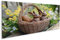 islandburner Prime Bild auf Leinwand Schokoladenhasen im Korb mit Frühlingsblumen Bilder Wandbilder Poster