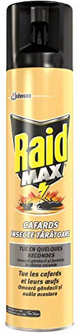 Raid Aérosol MAX Cafards 3 en 1, Fourmis, Insecticide, 300 ml