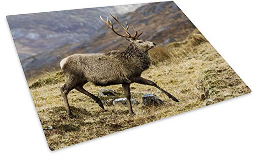 Stag Deer Brown Grass Glass Chopping Board Kitchen Worktop Saver Protector