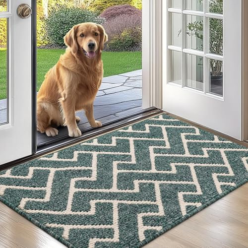 Biscpro Schmutzfangmatte 60x90 Fußmatte Innen, Wasserdicht Schmutzabsorption Matte rutschfest für Außen Eingang, Stufenmatten, Teppich, küchenteppich
