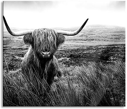 Highland Rind mit großen Hörnern Steppe, Monochrome Herdabdeckplatte & Spritzschutz aus Echtglas | Für Herd-Kochfelder | 60x52 cm