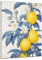 DARO Design - Wand-Bild Abstrakt Zitronen hängend auf 6mm HDF 60x40 cm - Wand-Deko Bilder Geschenk