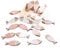 Logbuch-Verlag 18 Streudeko Fische Holz rosa weiß Natur Mini-Fische Streuartikel Tischdeko Taufe Kommunion Mädchen