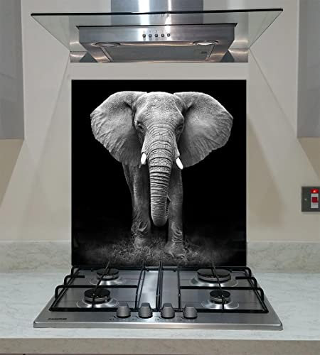 Splashback Toughened Glass Modern Unique Kitchen Black Elephant Any Size (wide 60 x height 70/cm)