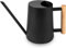 Annaffiatoio per piante da appartamento da interni, 1000 ml, in acciaio inox, piccolo, moderno vaso per irrigazione con beccuccio lungo, per bonsai, giardino, fiori decorativi (nero)
