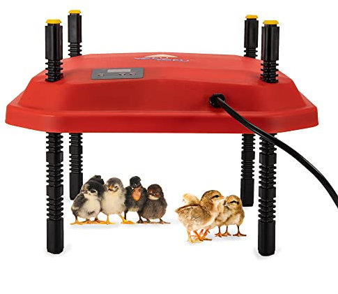Chick Heating Plate, Chick Brooder Heating Plate, Chick Incubator Heating Lamp, Adjustable Height, Brooder Heat Plate for Chicks And Ducklings