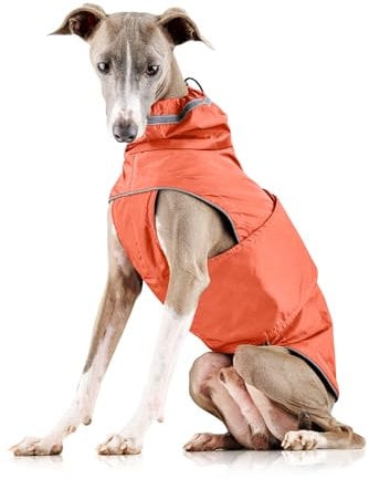 ZAUBERPFOTE® Hunderegenmantel London I Mit extra langem YKK® Reißverschluss für Halsband & Geschirr I Für kleine, mittlere & große Hunde I Wasserdicht & Maschinenwaschbar I Regenmantel für Hunde (60)