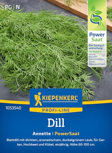 Kiepenkerl Dillsamen Anette 1053540, Kräutersaat | Kräutersamen für aromatisches Blattdill, Kräuterpflanzen