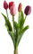 Botanic-Haus künstliches Tulpenbündel Holland mit 3 Tulpen und 2 Tulpenknospen Farbe: pink-Beauty-aubergine real Touch