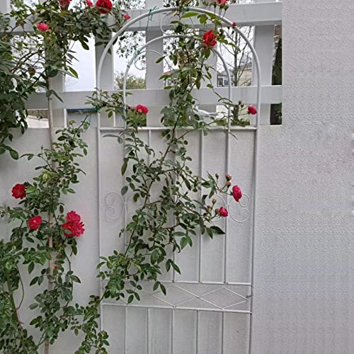 Rankhilfe aus Eisen, für Kletterpflanzen, 179,8 cm Höhe, Blumenständer, dekoratives Gitter für Innenhof, Terrasse und Rasen, ideal für Rosen und Reben, Weiß
