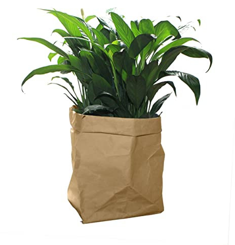 Cabilock en Papier Kraft Lavés Lavables Unis avec Poignées Grands De Culture pour Plantes De Fête D'Épicerie Réutilisables en Papier Décoratifs Floraux