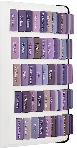 ZIEYOMI Bibel-Tabs, Bibeljournaling-Zubehör, große bedruckte Bibelregister für Frauen und Männer, 66 Bibelindex-Tabs, altes und neues Testament, Bibelzubehör, inklusive 14 leeren