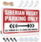 Lustige Türschilder Sibirischer Husky Parking Only Blechschild Lustige Geschenke für Boss Bar Schilder für Zuhause (Größe: 20 x 30 cm)