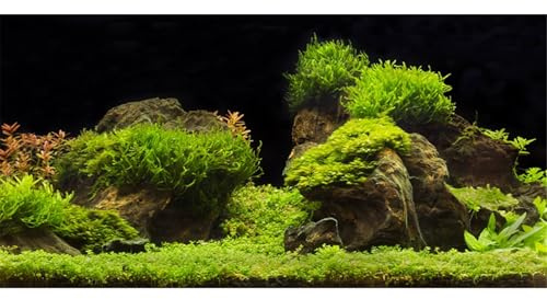 MIRRORANG 76x46cm Aquarium Hintergrund Wasser Gras Fisch Tank Hintergrund Dekoration Wasserpflanze Fisch Tank Hintergrund