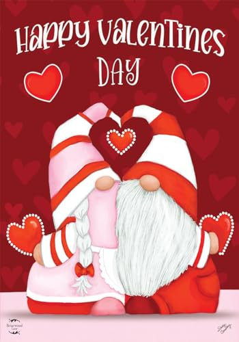 Fahne Alles Gute Zum Geburtstag Garten Fahnen Premium Dekoration Fähnchen Dekorative Flagge Für Außenbereich Drinnen Hof 30X45Cm