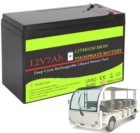 FREEDOH Batería de Litio de 12V LiFePO4 de 20Ah, 30Ah, 45Ah, 60Ah y 100Ah, en Lugar de baterías de Plomo-ácido con BMS para Almacenamiento de energía Solar en montacargas y RV.,12v20ah
