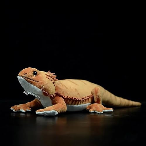 AOQILN Simulation Weiche Bartagame Plüschtier Lebensechte Reptilien Eidechse Stofftier Spielzeug für Kinder Sammlergeschenk 42cm Bartagamen