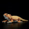AOQILN Simulation Weiche Bartagame Plüschtier Lebensechte Reptilien Eidechse Stofftier Spielzeug für Kinder Sammlergeschenk 42cm Bartagamen