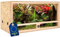 ITA Holz Terrarium 100x50x50 cm mit Seitenbelüftung & Integriertem Hygrometer - Holzterrarium aus OSB-3 Platten - Terrarien für Reptilien, Schlangen, Amphibien - EU Produkt, FSC Zertifiziert