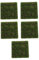BESPORTBLE 5St Simulierte Moosschaumplatte transparente Wunschflaschen Schaum Moos Wandmoos Wandverkleidung Moos Wandpaneel Grün Wandtafel Wanddekoration für zu Hause grüne Moosfliese Green