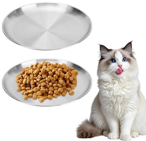 2 cuencos para gatos de acero inoxidable, 14 cm, bandeja redonda pequeña de acero inoxidable, bandeja decorativa para pizza, plato de acero inoxidable, plato para servir, bandeja decorativa para pizza