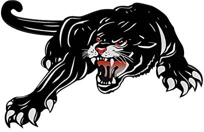 Ekakashop 3D Schwarzer Panther Aufkleber, Reflektierende Autoaufkleber, Wasserdicht, Modern, Sticker, Auto & Motorrad, Schwarz