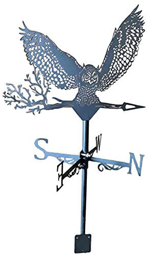 CAZARU Edelstahl-Wetterfahne, Retro-Adler, Wetterfahne, Windrichtungsanzeiger für Garten, Terrasse, Hof, Bauernhof, Dekoration, am besten für Sommerhausdach