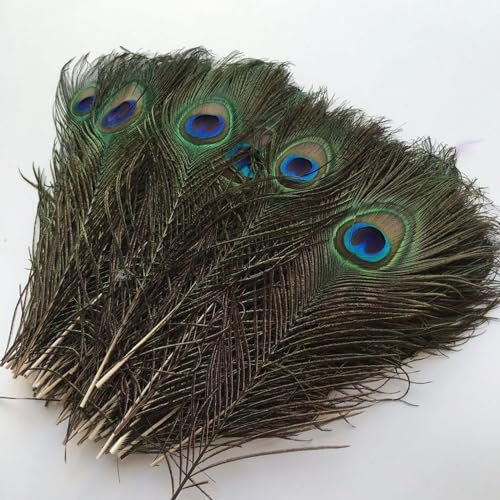 JDCMEI 20 Stück Natürliche Pfauenfeder, Pfauenfedern mit langem Schwanz, 25-30 cm Schöne Augen Federn für Hüte DIY Craft Handwerk Kopf Dekorationen Pfau Deko
