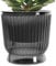 kivrimlarv Fioriera per irrigazione con design di idratazione automatica e stile moderno trasparente per orchidee, violette africane o piante da interno, 1 pezzo