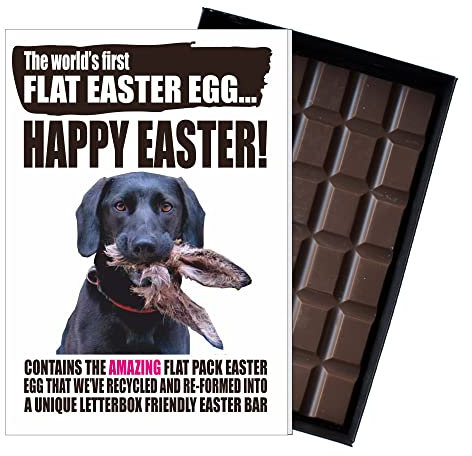 Easter Egg Alternative Funny 100g Milk Chocolate Bar Novelty Gift for Labrador Dog Owner Letterbox Friendly Posts Like a Traditional Greeting Card