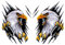 Autoaufklebe 3D Flamme Adler Aufkleber,1 Para 3D Wolf Head Aufkleber Sticker Dekoration Aufkleber für Auto,Wolf Decal Car Decal Sticker Vinyl Auto Emblem Aufkleber Tattoo für Auto LKW, 18 * 25CM