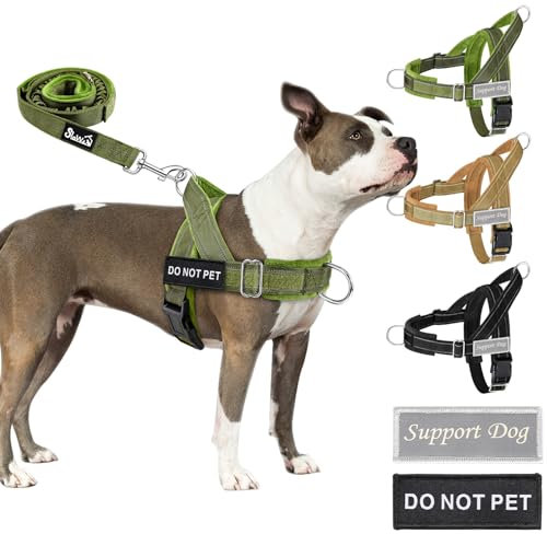 SlowTon Hundegeschirr mittelgroße große Hunde mit 1,55-1,7 m Leine, gepolstertes reflektierendes Brustgeschirr mit verstellbarem Hals und Brust, Anti-Zug Geschirr Hund für Spaziergänge