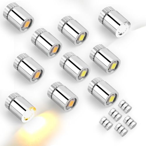10pcs Mini Lumières LED, Micro Lumière avec Batterie Incluse Petite Spot Électrique pour Loisirs Créatifs Lanterne en Papier Décoration Accessoires de Maison Poupée (Blanc Chaud, Blanc Froid)