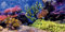 MIRRORANG 61x30cm Langlebige Vinyl Aquarium Dekor Hintergrund Koralle Tropische Fische Unterwasser Fisch Tank Poster Hintergrund