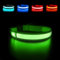 MASBRILL Leuchthalsband Hund, Hundehalsband Leuchtend Aufladbar USB-C, LED Halsband für Hunde Einstellbare Wasserdicht, Halsband Hund Leuchtend 3 Lichtmodi für Kleine Mittlere Große Hunde(Grün S)
