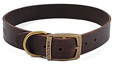 Ancol Latigo Flexible Stretchy Dog Collar Havana Leather Pet Training Accessory with Antique Gold Fixings - Soft and Resilient - Size 6 - 45-54 cm