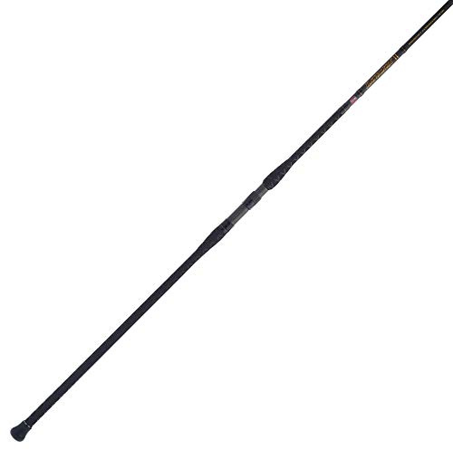 PENN Fishing Squadron III Surf Conventional Fishing Rod, Titanium/Red/Gold, 10' - Medium - 2pc (SQDSFIII1220C10)