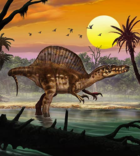 Dino Komar Vlies Fototapete - Spinosaurus - Größe: 250 x 280 cm (Breite x Höhe) - Jurassic, Dinosaurier, Dino, Kinderzimmer, Tapete - IANGX5-010